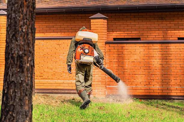 Trusted Bed Bug Control service in Shavano Park, TX - Nex Pest Control